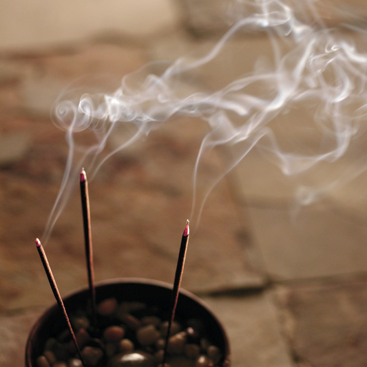 Sacred Scent: Why Smell Grounds Us Before Thought